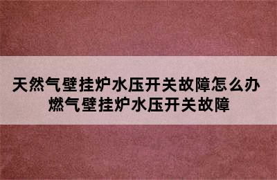 天然气壁挂炉水压开关故障怎么办 燃气壁挂炉水压开关故障